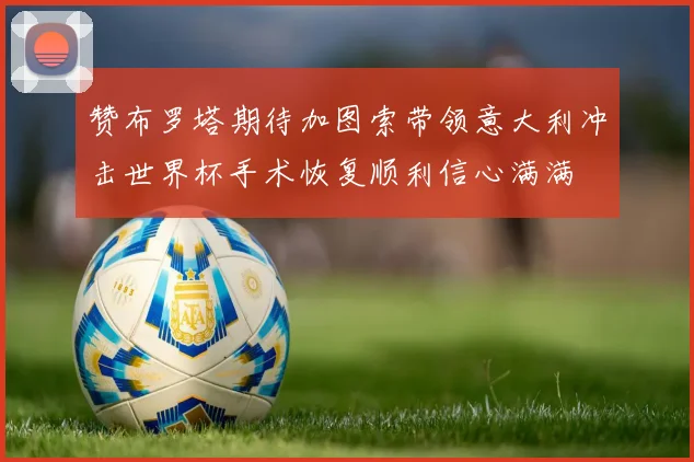 赞布罗塔期待加图索带领意大利冲击世界杯手术恢复顺利信心满满