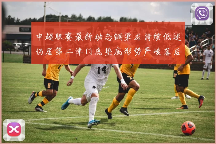 中超联赛最新动态铜梁龙持续低迷仍居第二津门虎垫底形势严峻落后安全区九分